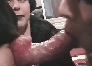 Mutt is getting sucked by a pigtailed woman
