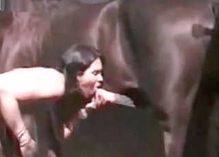 Big-dicked brown horse gets a handjob