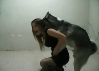 Young coed destroyed by a dog