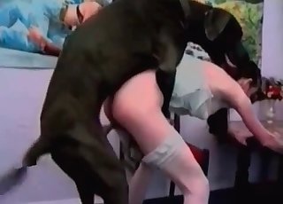 Kinky babe fucked by a black Doberman