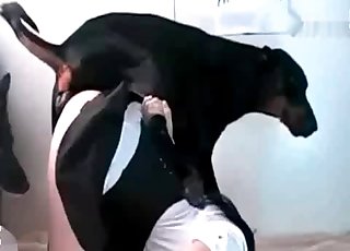 Mind-blowing hardcore bestiality