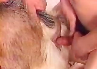 Animal loves dirty animalistic sex