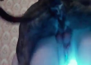 Amazing licking action from a dog