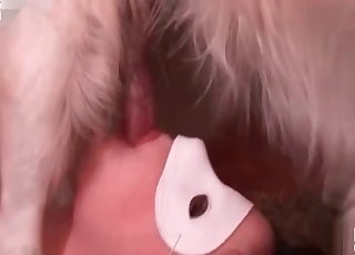 Zoophile with a mask having oral sex with a lovely dog