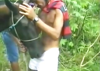 The sex-loving male is having fun with a stunning horse